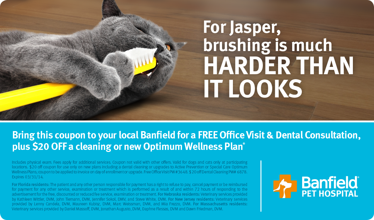 petsmart-free-office-visit-dental-printable-coupon
