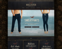 Hollister Promo Coupon Codes and Printable Coupons